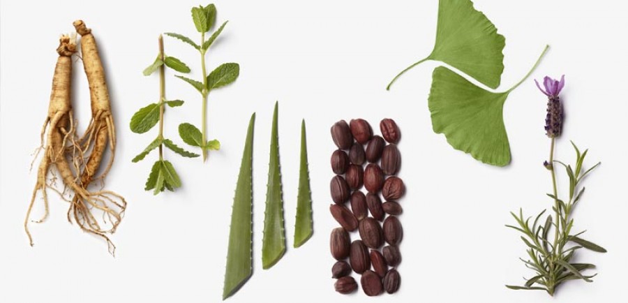 La-Biosthetique-Botanique